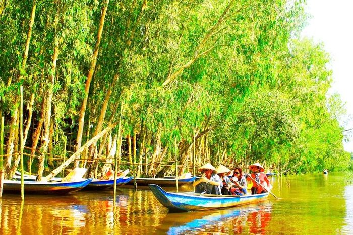 Xong hành trình tham quan trên tắc ráng, sau đó du khách sẽ được chuyển qua thuyền ba lá nhỏ đã được chờ sẵn. Ngồi trên xuồng, du khách được tận mắt nhìn ngắm những loài chim rừng, đôi khi bắt gặp khoảnh khắc chim mẹ đang móm mồi cho chim con cùng âm thanh của tiếng mái chèo khua nhẹ nhàng đưa du khách dạo quanh một vòng rừng tràm trong những khoảng khắc yên bình, lắng đọng