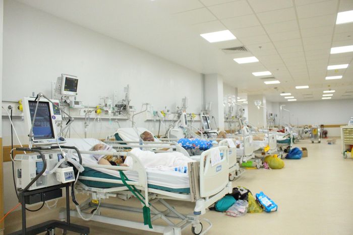 Giải pháp trước mắt và quan trọng nhất là đẩy mạnh điều trị để giảm số ca tử vong trong cộng đồng.