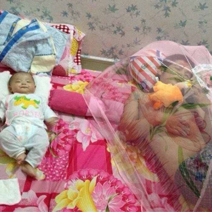Con muốn lăn đi đâu cũng được, miễn đừng lăn vào bố.