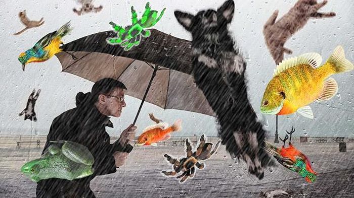 Bên cạnh đó, chỉ có trận mưa động vật đến từ các loài chim mới có thể chứng minh rằng những xác chết này từ trên trời rơi xuống, còn đối với tất cả các loài động vật không bay được, thì trận mưa động vật mà chúng tạo thành chưa bao giờ được ống kính nào chụp được.