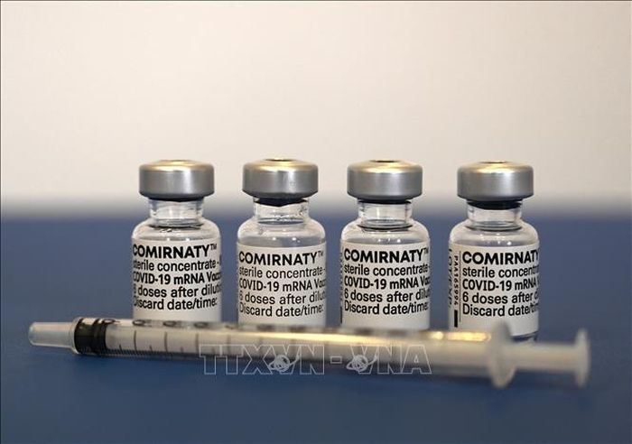 Vaccine ngừa COVID-19 của Pfizer/BioNTech. Ảnh: AFP/TTXVN