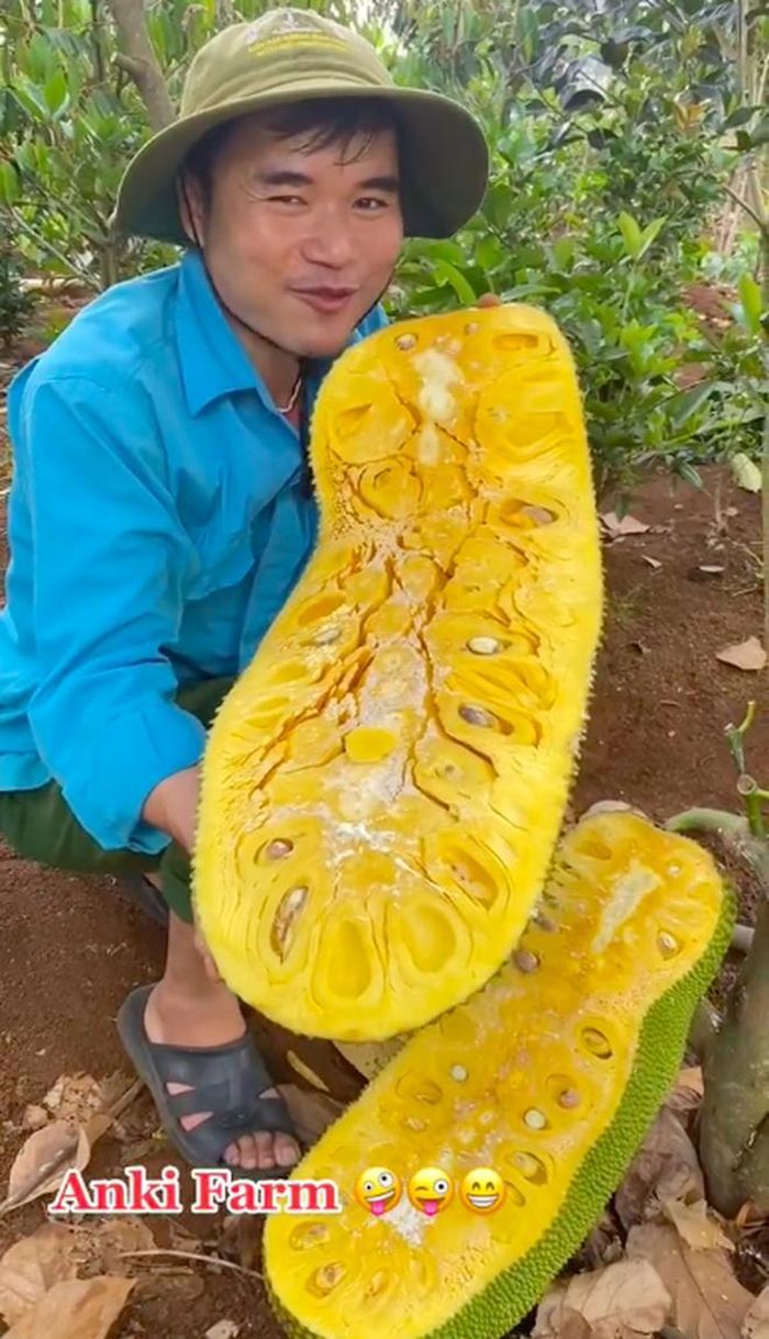 Như để khẳng định mít nhà mình trồng ngon, chàng trai thử lấy một múi ra ăn ngay tại chỗ.