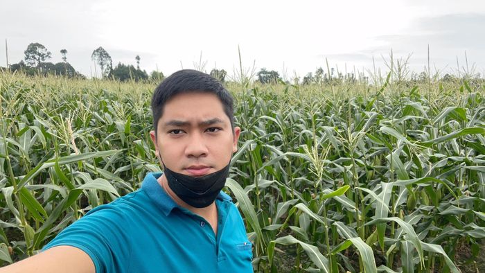 Minh Luân giải cứu 3 tấn bắp cho bà con nông dân Đồng Tháp. Ảnh: NVCC.