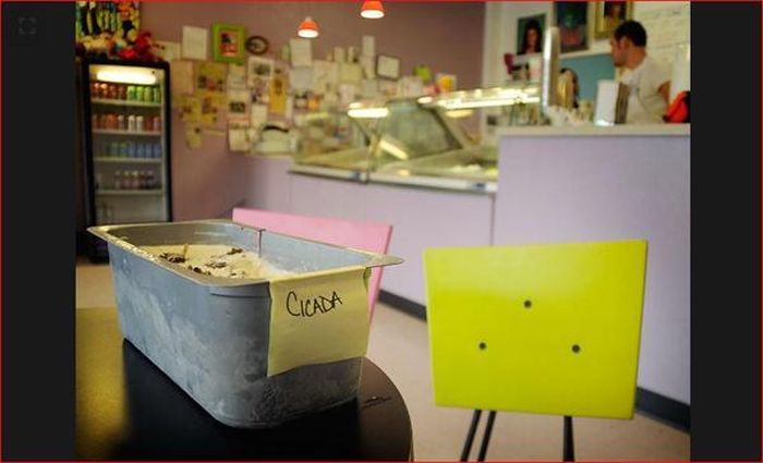 Kem ve sầu. Kem ve sầu được Sparky's Homemade Ice Cream sản xuất phục vụ khách hàng. Không phải kem chứa vị ve sầu đơn thuần, nhà sản xuất dùng nguyên những chú ve sầu đã được làm chín. Để tăng hương vị, kem bơ đường nâu, socola sữa sẽ ăn kèm.
