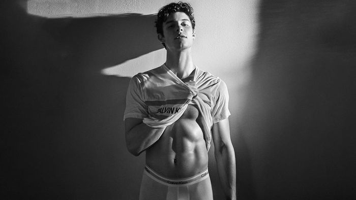 Shawn có lối sống khá lành mạnh, nói không với scandal. Khi rảnh rỗi, anh thường đến phòng gym, tập cùng HLV riêng. Nam ca sĩ tự gọi bản thân là người cuồng tập luyện và luôn cố gắng làm điều này ngay khi có thời gian rảnh rỗi.
