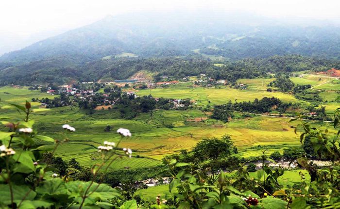Trung Lèng Hồ mùa lúa chín.