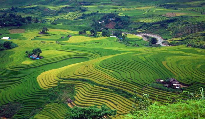 Vẻ đẹp của ruộng bậc thang Sàng Ma Sáo.