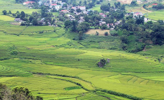 Cuộc sống yên bình của người dân vùng cao Bát Xát bên những thửa ruộng bậc thang.