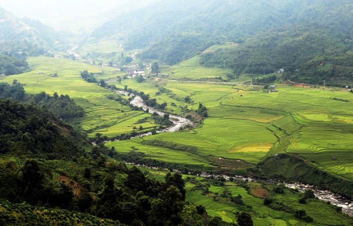 Mùa vàng bên suối Mường Hum trong xanh.