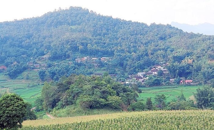 Quang cảnh thôn Bản Mế nhìn từ xa.