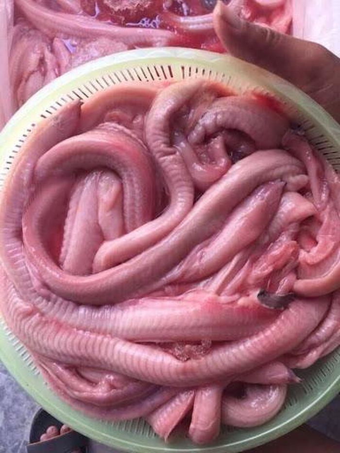 Nhiều thực khách rất thích, có người phải đặt hàng trước mới mua được. Lúc cao điểm, cá mút đá có giá trên 300.000 đồng/kg. Ảnh: Facebook