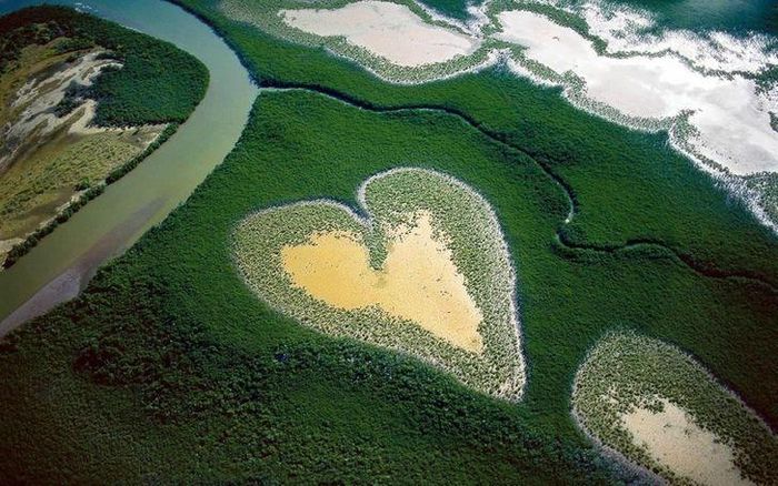 Rừng ngập mặn ở New Caledonia.https://dulich.petrotimes.vn/