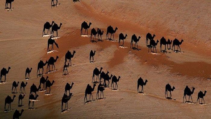 Sa mạc Wadi Mitan ở Oman. https://dulich.petrotimes.vn/