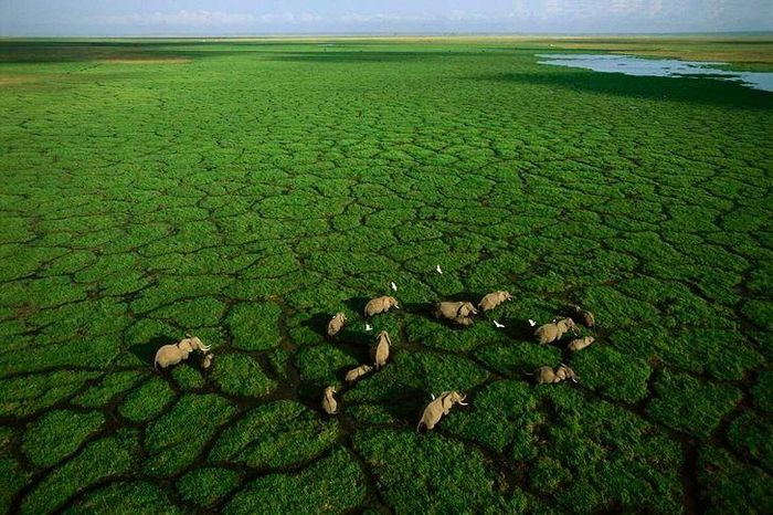Vườn quốc gia Amboseli, Kenya. https://dulich.petrotimes.vn/