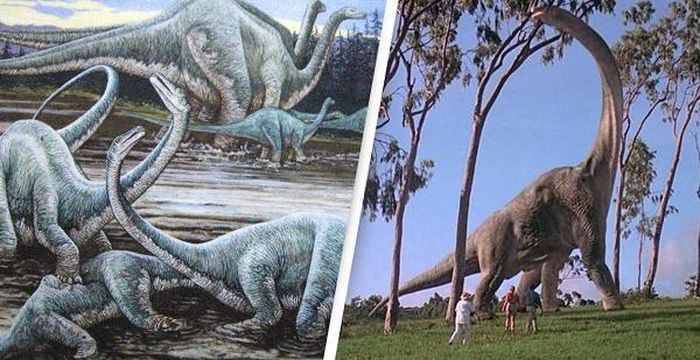 Mẫu vật của khủng long Silutitan ước tính dài tới 21 m, còn mẫu vật của khủng long Hamititan dài hơn 17 m. Chúng dài gần bằng loài động vật lớn nhất hành tinh từ trước đến nay là cá voi xanh.