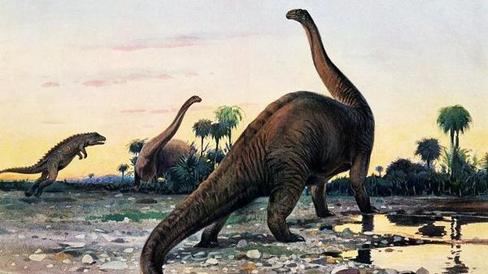 Cả Silutitan và Hamititan đều thuộc nhóm khủng long chân thằn lằn (Sauropoda) - bao gồm những động vật lớn nhất từng đi bộ trên cạn. Chúng ăn thực vật và có chiếc cổ dài đặc trưng.