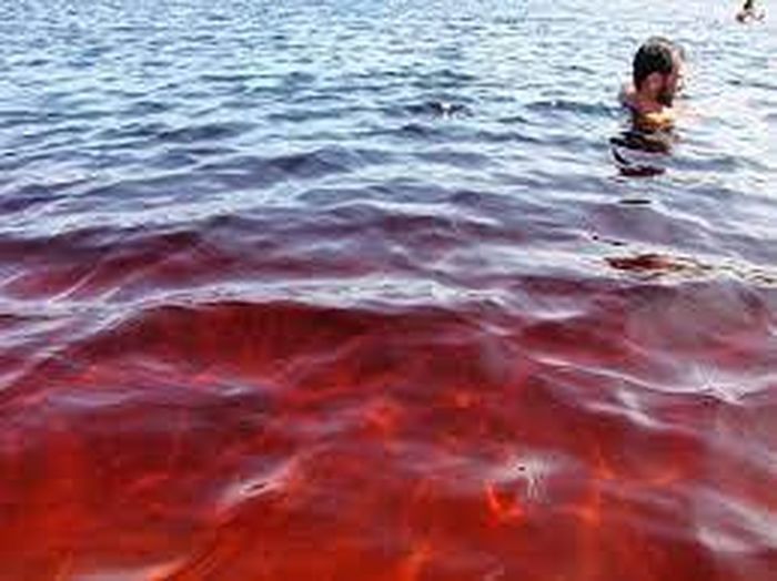 Vì màu của hồ nước độc lạ nên thu hút rất nhiều khách du lịch đến khám phá và trải nghiệm, đặc biệt là trẻ em