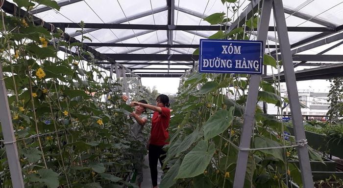  Anh Huynh đặt tên cho các khu vực trong vườn nhằm gợi nhớ về quê hương. 