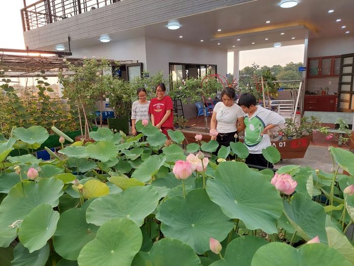  Vợ chồng anh Huynh cho các con chăm vườn để học tính tự lập, yêu lao động từ nhỏ. 