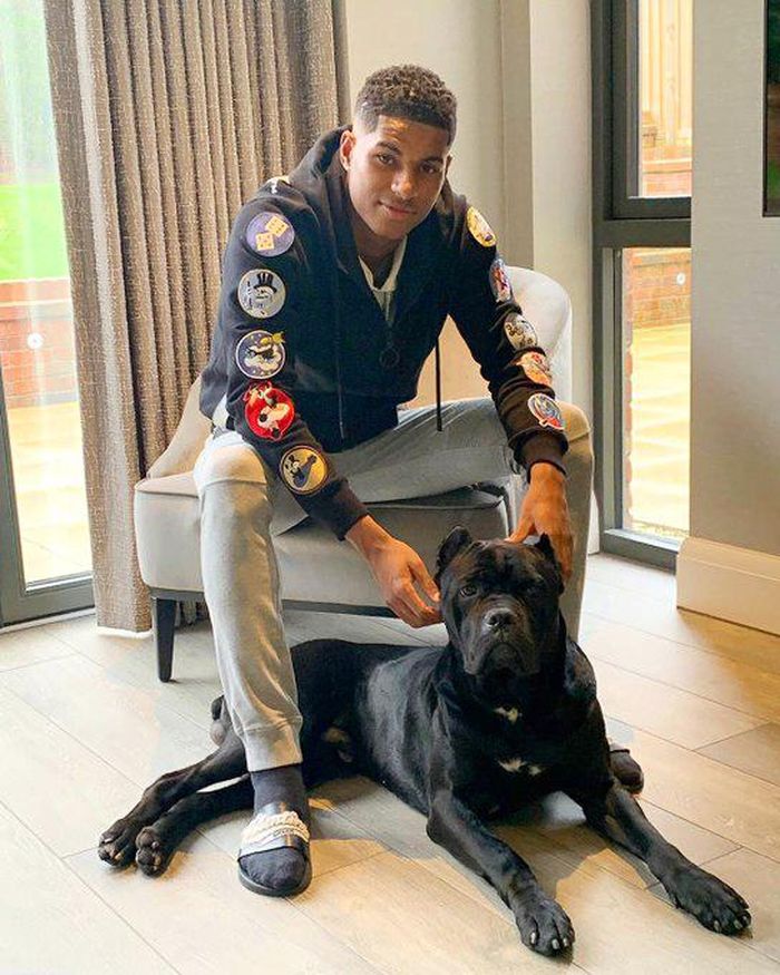 M.Rashford sở hữu một chú chó bảo vệ. Ảnh: nytimes