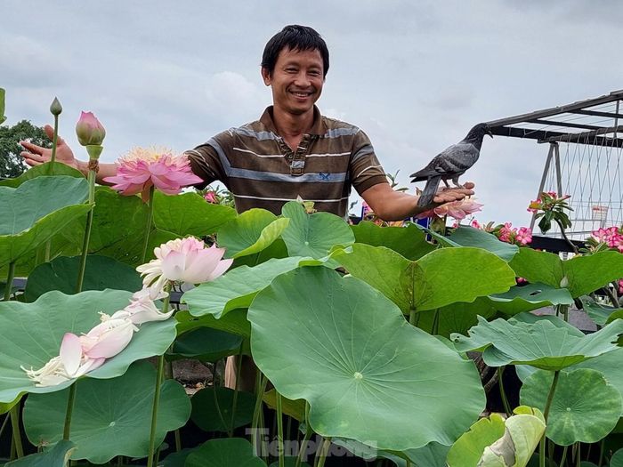 Gia chủ cho biết hệ thống bồn của mình làm rất đơn giản, rẻ tiền; ví dụ hồ sen không cần xây mà chỉ cần hàn khung xung quanh, bắn tôn rồi trải bạt chống thấm, bên ngoài dán cỏ nhân tạo. Làm vậy vừa tiết kiệm, không nặng mái, đẹp và có thể di chuyển dễ dàng.