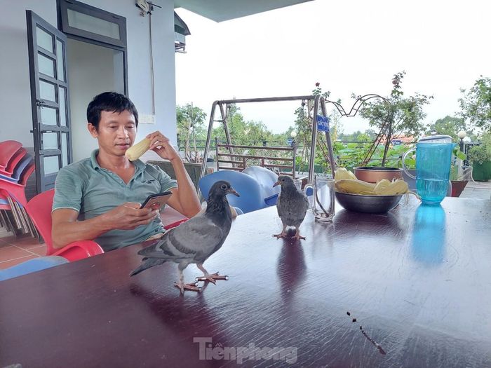 Từ đó, một ngôi nhà 3 tầng rộng lớn ra đời với tầng 1 làm cửa hàng kinh doanh, tầng 2 là nơi cả gia đình sinh sống còn tầng thượng có diện tích 300m2 dùng để làm vườn và các công năng khác. Anh Huynh chia tầng thượng 300m2 làm ba khu: khu phòng tập rộng 40m2; khu ăn uống, bếp và công trình phụ trợ khoảng 60m2; 100m2 anh dùng để trồng hoa, tiểu cảnh; còn lại 100m2 trồng rau, củ, quả phục vụ sinh hoạt hàng ngày của gia đình. 