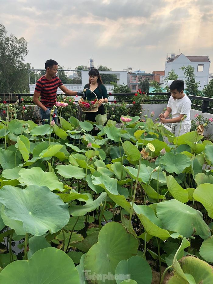 “Đợt dịch COVID -19 ở TP. Hồ Chí Minh này, nhờ vườn rau, đàn gà của nhà mà gia đình tôi mấy tháng không ra khỏi nhà nhưng vẫn đủ thực phẩm cung cấp cho gia đình, cho tặng bạn bè, hàng xóm và đặc biệt vườn rau giúp cho gia đình có chỗ lao động, sinh hoạt và giải tỏa áp lực trong mùa dịch. Bản thân tôi là một doanh nhân nên tôi coi vườn rau sân thượng là một thử thách, tập thêm sự sáng tạo, kiên nhẫn và cho cái tâm của mình thêm sáng...chúc các bạn cố gắng để có rau sạch ăn, môi trường sống tốt, cùng nhau bảo vệ môi trường”, anh Huynh tâm sự.