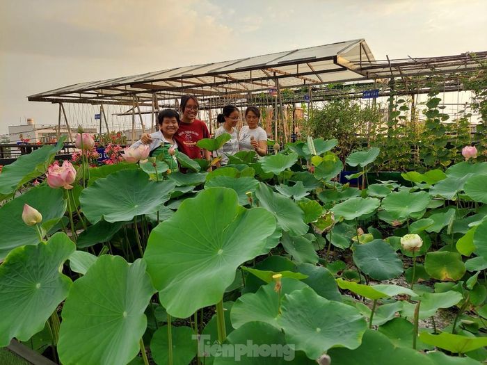 Anh Huynh tâm sự, vì mình làm kinh doanh, công việc vô cùng áp lực nên từ khi có khu vườn, ngoài việc cung cấp rau sạch cho cả gia đình thì đây còn là nơi giúp đầu óc anh thảnh thơi và giảm áp lực khi chăm sóc khu vườn. Đồng thời, vườn rau giúp các con anh tập lao động, biết yêu cây cỏ. Và mỗi lần nhìn thấy vợ con vui đùa bên sân vườn lộng gió với đầy hoa trái khiến tâm hồn anh vô cùng bình yên và hạnh phúc. 