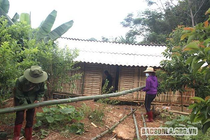 Xóm 5, tiểu khu 19, thị trấn Hát Lót làm lán trại phục vụ cách ly F1 tại địa phương. 