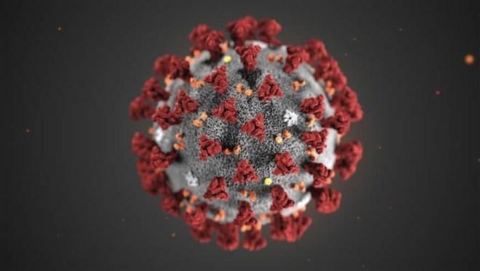 Virus COVID-19