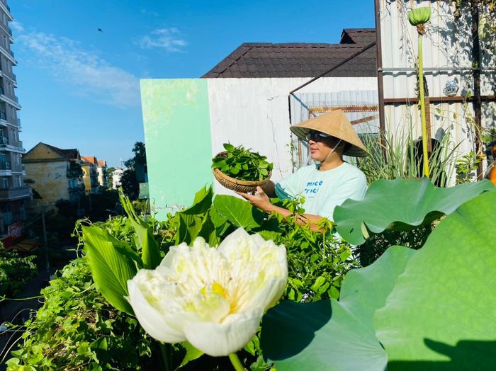  Anh Hiệp đang trồng 30 loại rau, củ, quả và hoa trong vườn. 