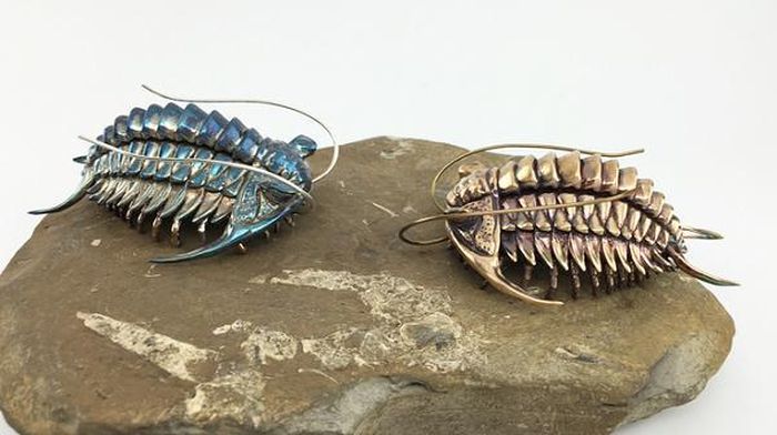 Thông thường loài eodiscoid trilobites này vẫn được cho là những con vật bơi, sống theo những trụ dưới nước, và cũng có thể sống dưới dáy biển. Chính từ điều này mà giáo sư Conway Morris cho rằng có một hệ sinh thái phức tạp ở Kaili vào giữa kỷ Cambrian.
