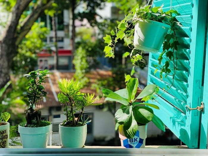 Cuộc sống cũng cần sự đổi thay mạnh mẽ...