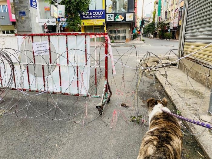 Cách đây hơn một tháng, thành phố “băng bó” thấy thương, giờ thì rào kẽm gai chia vùng, đỏ thì lo lắng và xanh cũng bất an.