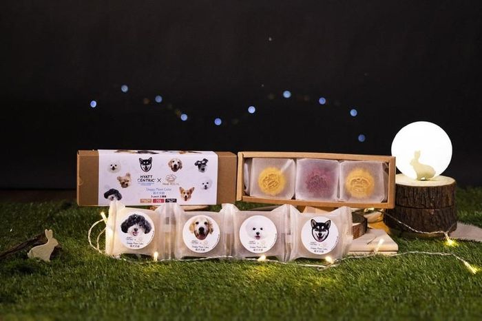 Những chiếc bánh trung thu Doggy với ba hương vị: cá hồi, thịt hươu và thịt ngựa, hấp dẫn những đứa trẻ và những người yêu loài vật nuôi lông lá này. Ảnh: Hyatt Centric Victoria Harbour Hong Kong