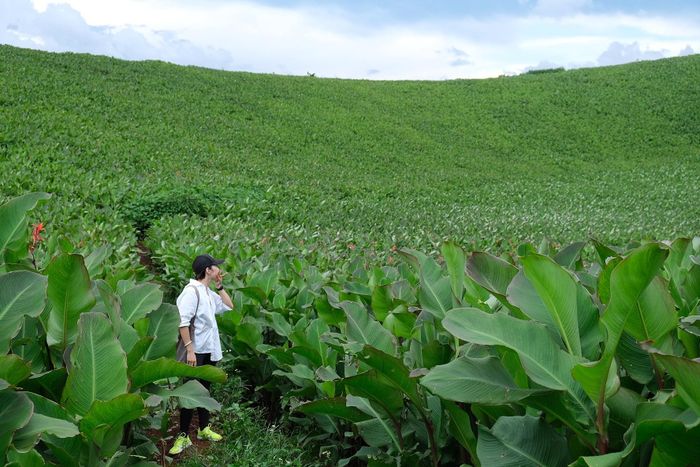 Du khách có xu hướng tìm kiếm không gian mở tại các điểm đến. Ảnh: Hoàng Ngọc