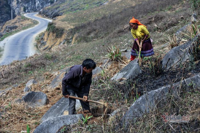 Nhiều chỗ bà con phải gùi từng gùi đất đổ vào để trồng trọt.