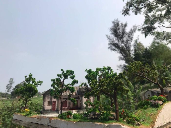 Khung cảnh làng quê miền Trung những năm 1968.