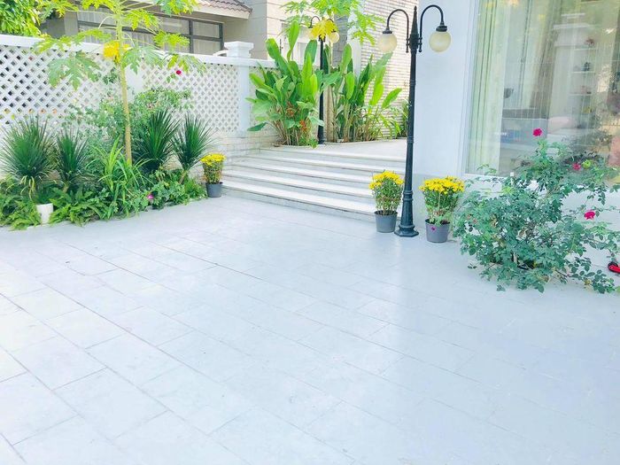 Ngôi nhà chỉ cách trung tâm Sài Gòn khoảng 10 phút di chuyển bằng ô tô và có diện tích là 300 m2 với sân vườn rộng rãi. Ảnh: Vietnamnet