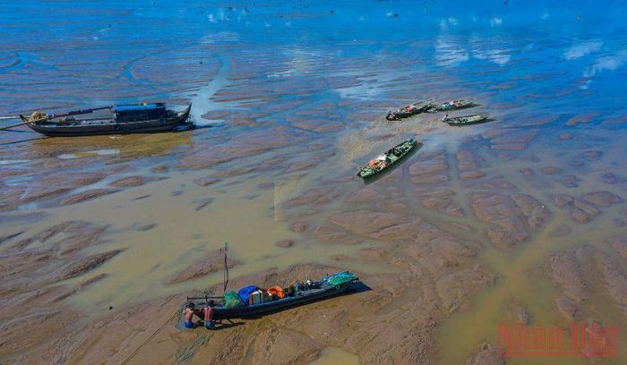 Có những thời điểm nước cạn trơ đáy, chỉ còn những vũng nước nhỏ, ngư dân chỉ cần đi bộ trên mặt hồ để bắt thủy sản. 