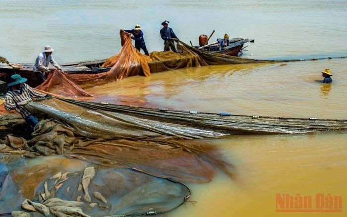 Khi nước cạn, việc kéo lưới để bắt thủy sản của ngư dân mưu sinh trên hồ thực hiện dễ dàng hơn. 
