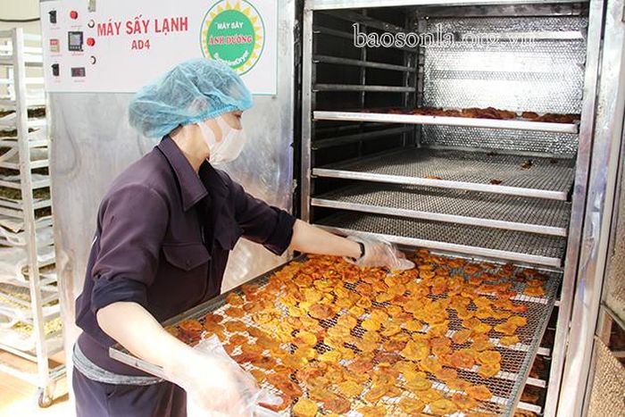 Hồng giòn Mộc Châu được sấy dẻo nguyên quả.