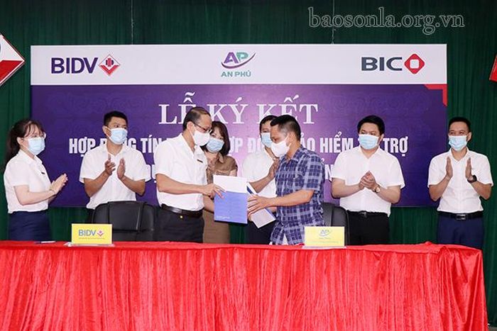 Đại diện BIDV Sơn La, Công ty Bảo hiểm BIDV Tây Bắc và Công ty cổ phần An Phú Sơn La ký kết hợp đồng tín dụng, hợp đồng bảo hiểm tài trợ dự án khu đô thị bản Buổn (Thành phố).