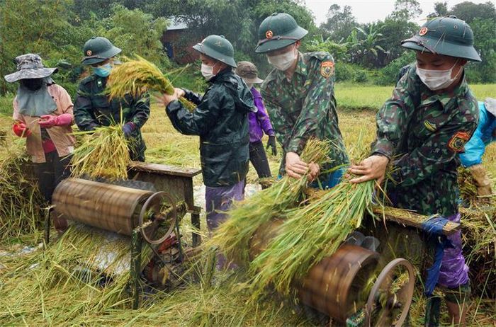 Tuốt lúa bằng công cụ thô sơ. Ảnh: Võ Tiến