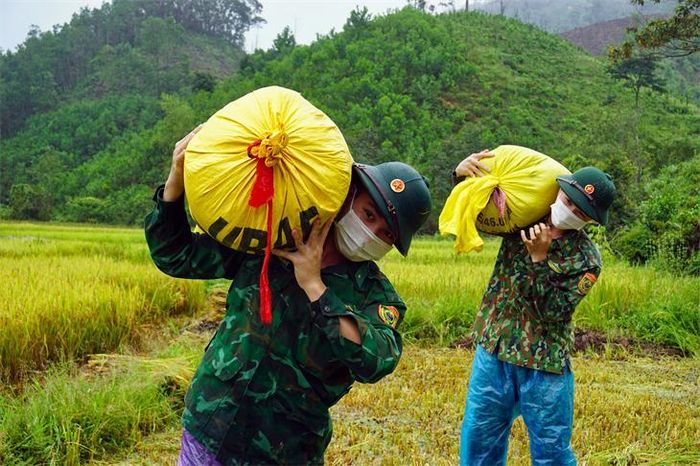 Cán bộ, chiến sĩ giúp dân chuyển lúa về nhà. Ảnh: Võ Tiến