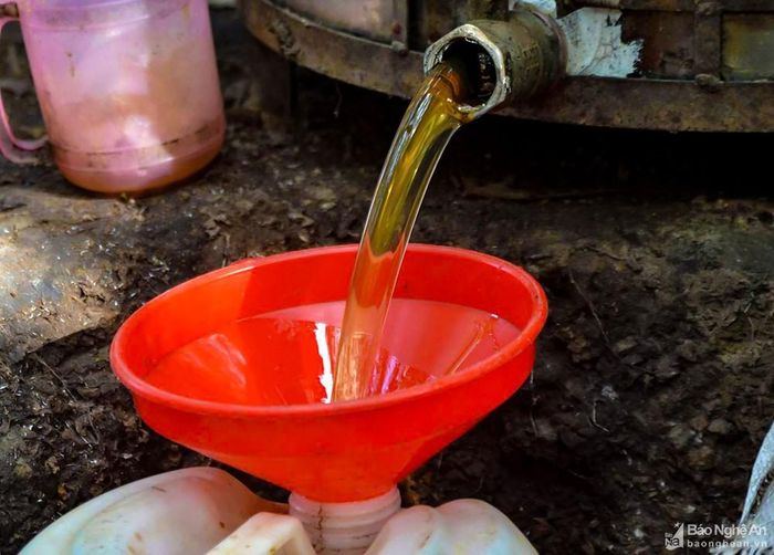 Mật ong được thu mua với giá từ 35.000 - 40.000 đồng/kg. Ảnh: Thái Hiền