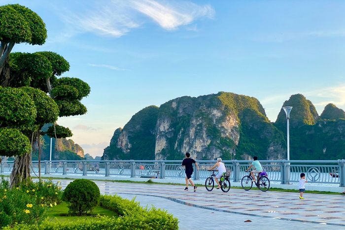 Đường bao biển Hạ Long là địa điểm được người dân yêu thích nhất khi hoạt động thể dục ngoài trời.