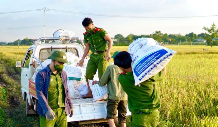  Công an huyện Ứng Hòa tất bật thu hoạch lúa giúp người dân thôn Phù Yên, xã Viên An đang trong diện cách ly y tế. Ảnh: Ngọc Ánh