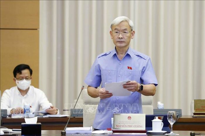 Ủy ban Tài chính, Ngân sách của Quốc hội Nguyễn Phú Cường, Phó Trưởng đoàn Thường trực Đoàn giám sát trình bày các văn bản liên quan. Ảnh: Doãn Tấn/TTXVN