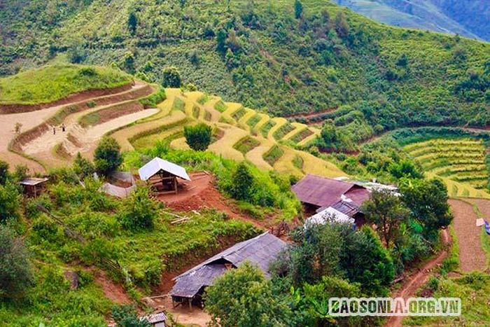 ... và bao lấy các nếp nhà đơn sơ.